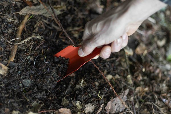 A person digs into the soil with a metal trowel to bury human waste.