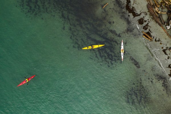 Aerial view of a group of kayakers paddling along a beachy shoreline.