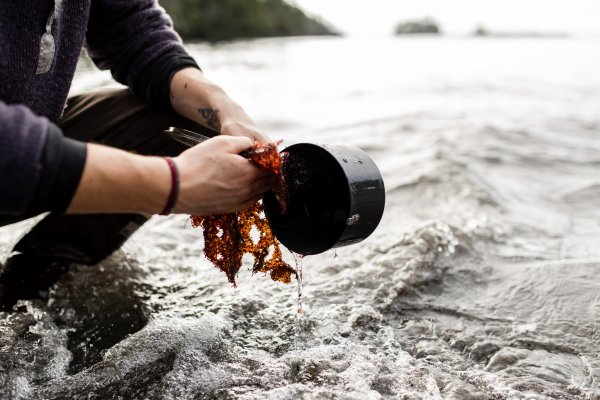 A person washes their camping cook pot with a piece of seaweed.