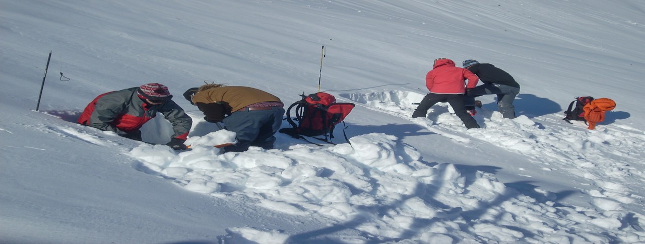 Avalanche safety students digging snow pits to test slope stability during high avalanche risk season