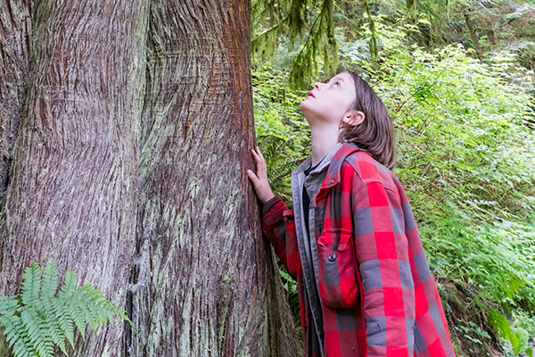 A young child looks up at a tree.